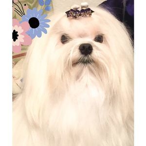 Meet your Posher, Christine